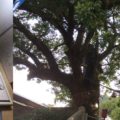 福山雅治_長崎聖地