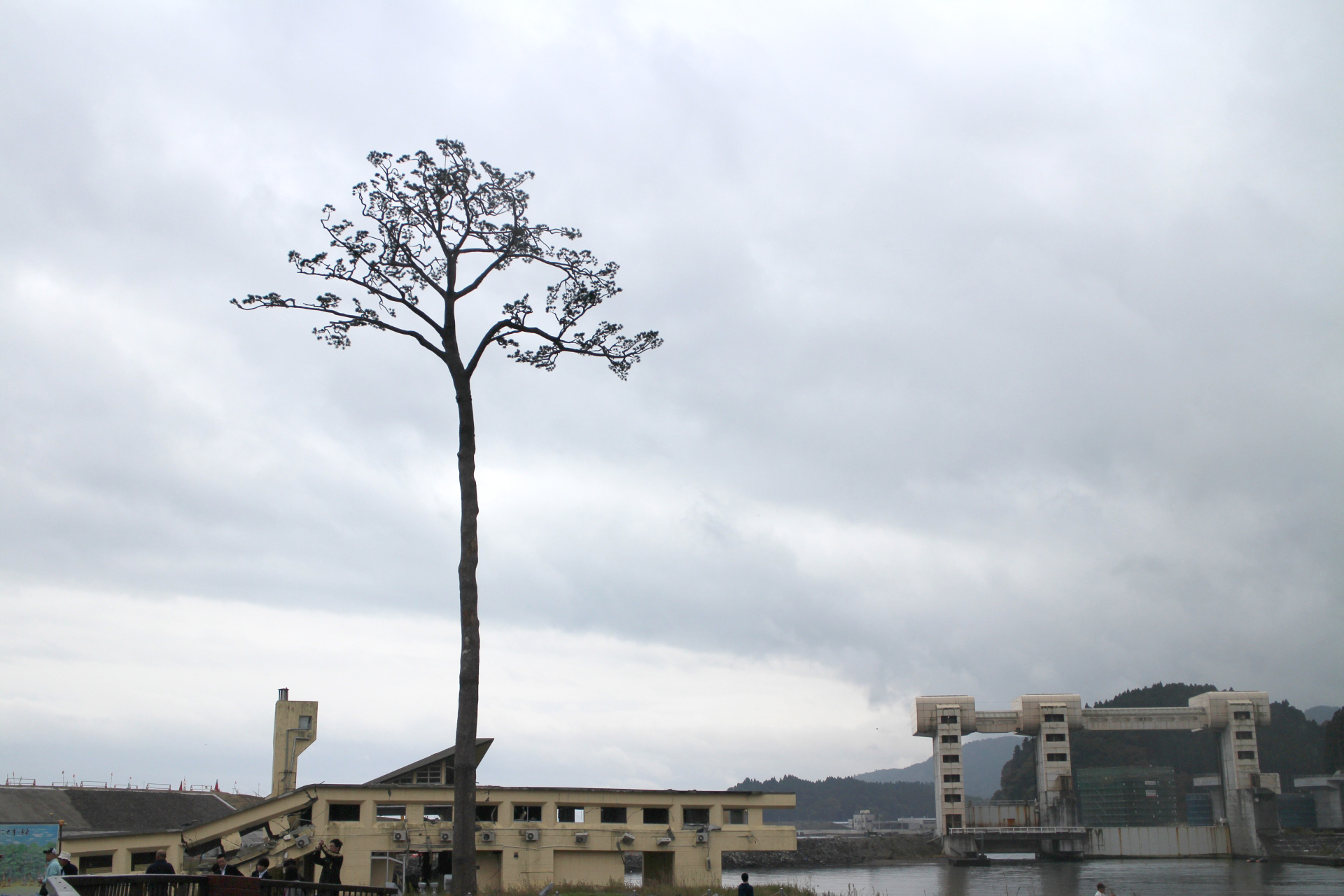 shinsaijpg (1)
