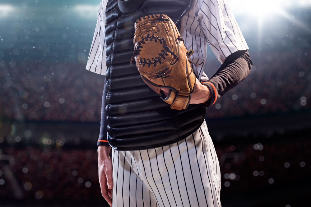 プロ野球応援定期