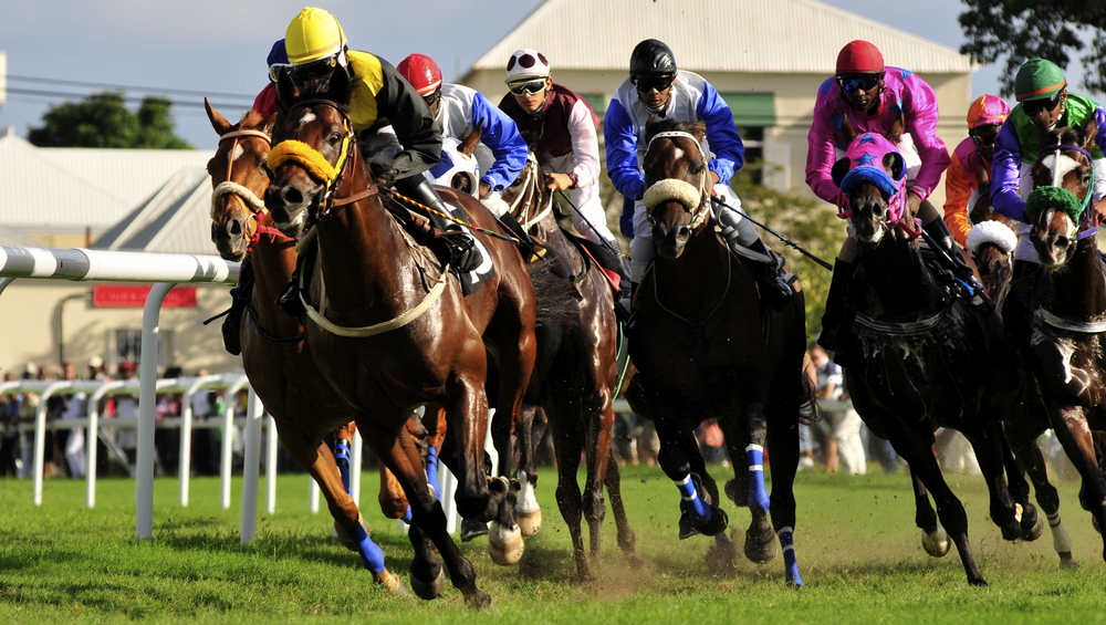 有馬記念2016